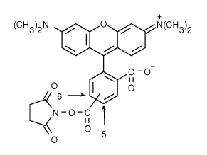 TAMRA|5(6)-Ȼļ׻_